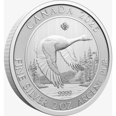 Ganso - 2 Oz - Moneda de Plata de Inversión