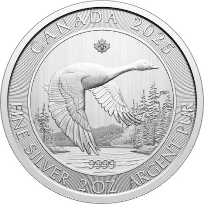 Ganso - 2 Oz - Moneda de Plata de Inversión