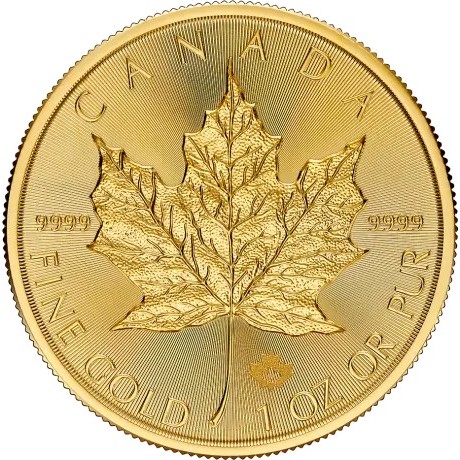 Hoja de Arce (2025) - 1 Oz - Moneda de Oro