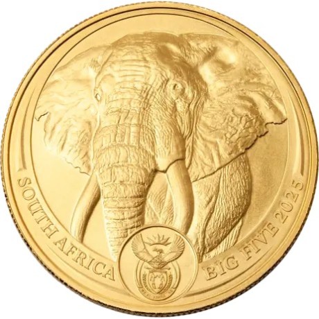 Big Five Elephant (2025) - 1 Oz - moneda de oro de inversión
