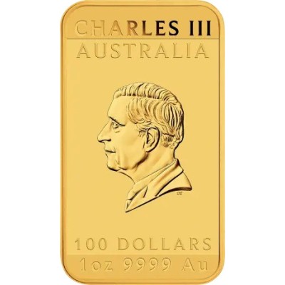 Dragón Rectangular (2025) - 1 Oz - Moneda de Oro
