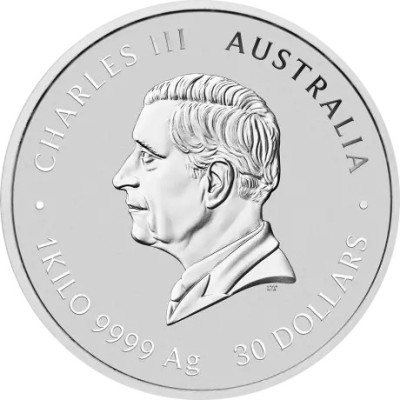 Caballo Lunar (2026) - 1KG - moneda de plata de inversión