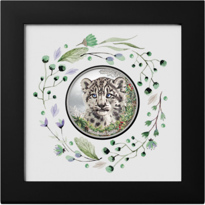 Leopardo de las Nieves (2026) - 1 Oz - Moneda de Plata de Colección