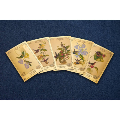 Colección John y Elizabeth Gould - Colibríes