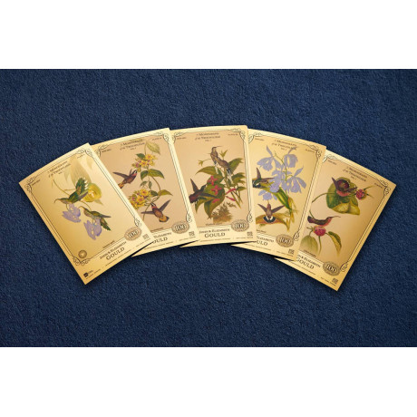 Colección John y Elizabeth Gould - Colibríes