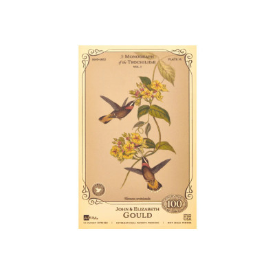 Colección John y Elizabeth Gould - Colibríes