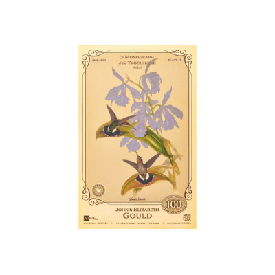 Colección John y Elizabeth Gould - Colibríes