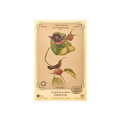 Colección John y Elizabeth Gould - Colibríes