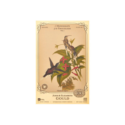 Colección John y Elizabeth Gould - Colibríes
