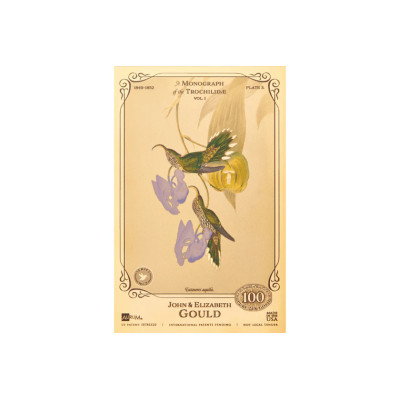 Colección John y Elizabeth Gould - Colibríes