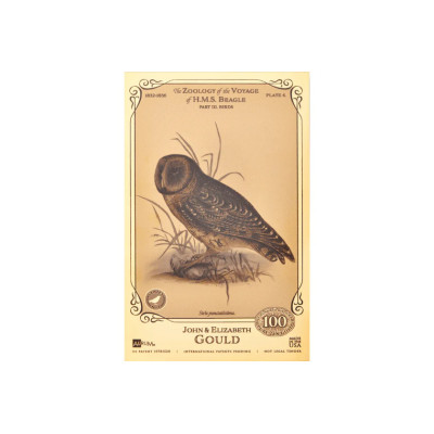 Colección John y Elizabeth Gould Aurum - H.M.S. Beagle