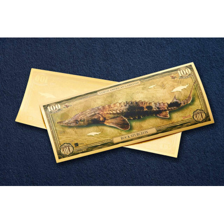 Esturión de roca - Billete de oro de 24 quilates - Serie I