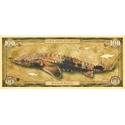 Esturión de roca - Billete de oro de 24 quilates - Serie I