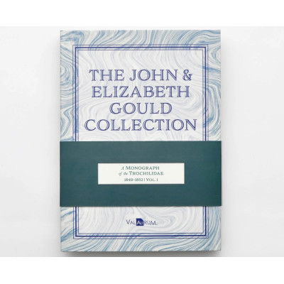 Colección John y Elizabeth Gould - Colibríes