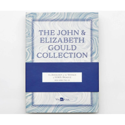 Colección John y Elizabeth Gould Aurum - H.M.S. Beagle